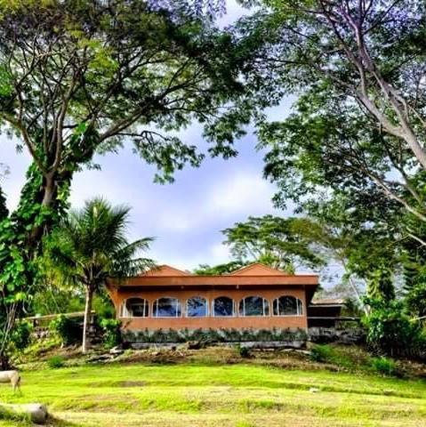 Manulalu B&B Bajawa 외부 사진